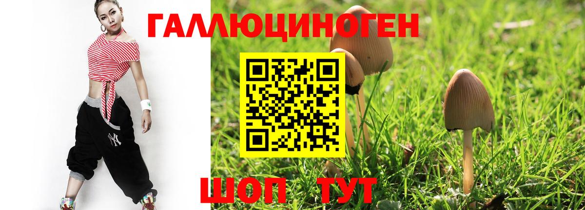 Галлюциногенные грибы прущие грибы  Вход с VPN  Нижнеудинск 